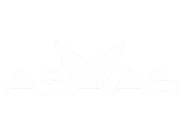 Empresa - ASAAS